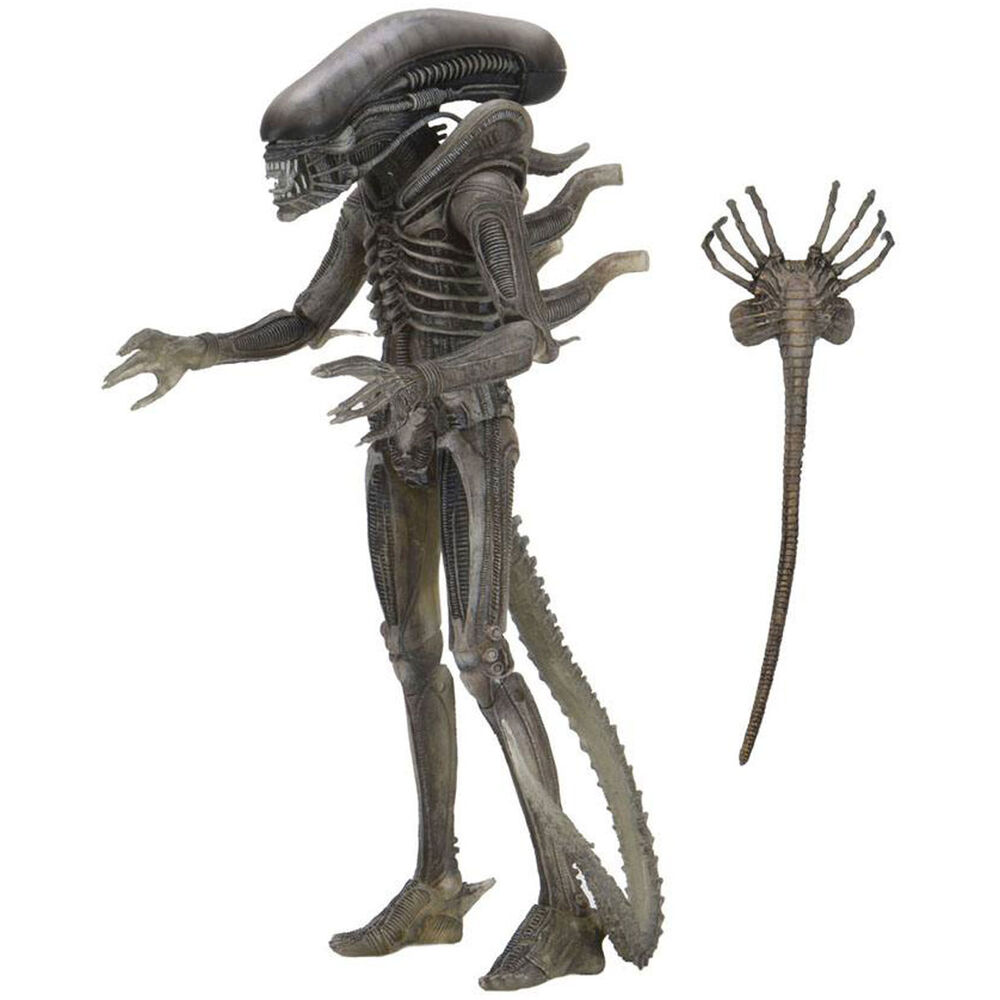 Figura The Alien 40th Anniversary Serie 4 Alien 18cm de NECA - Frikibase.com