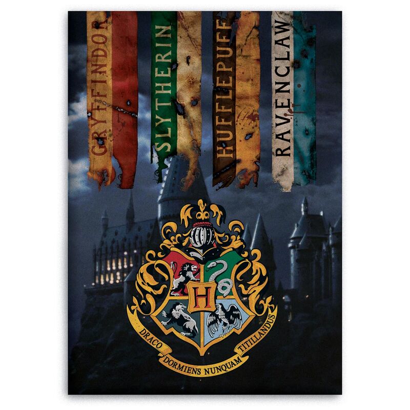 Manta polar Hogwarts Harry Potter de WARNER BROS. - Frikibase.com