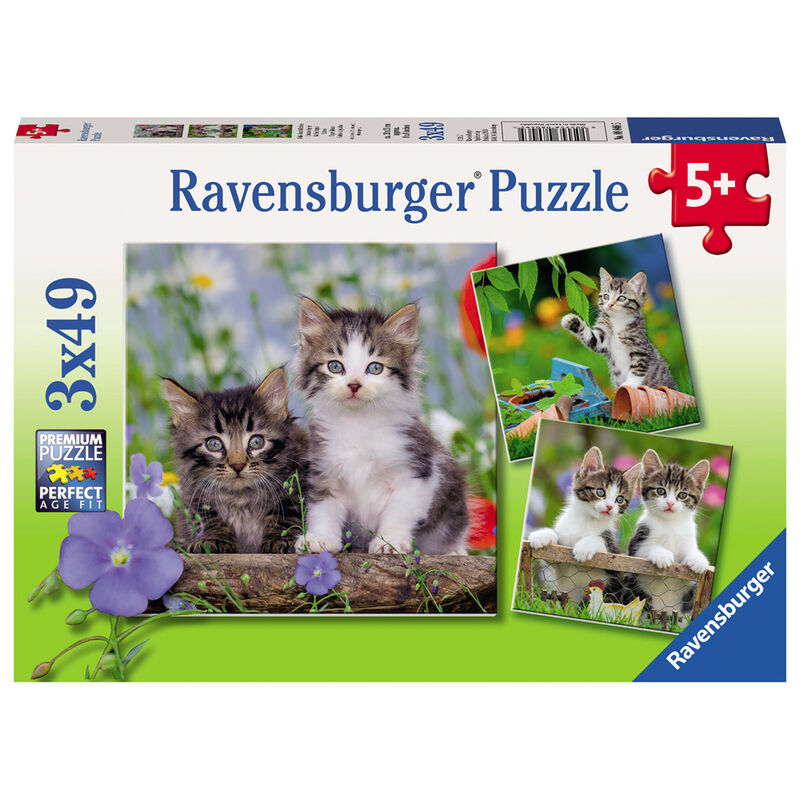 Puzzle Gatitos atigrados 3x49pzs de RAVENSBURGER - Frikibase.com