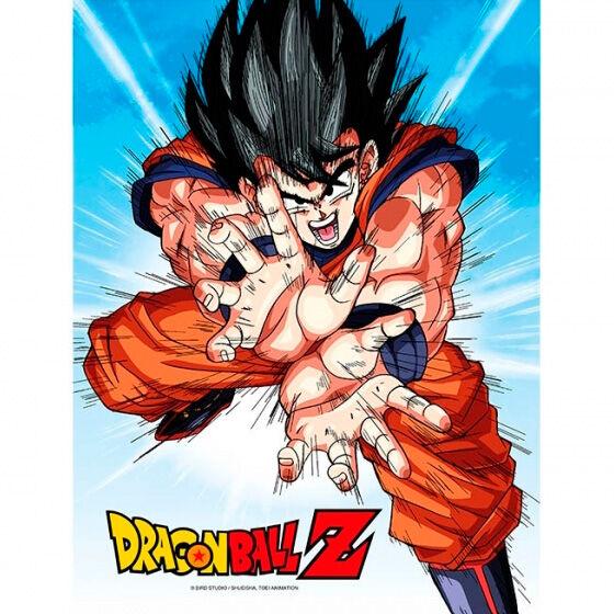 Poster cristal Goku Kame Dragon Ball Z - Frikibase.com