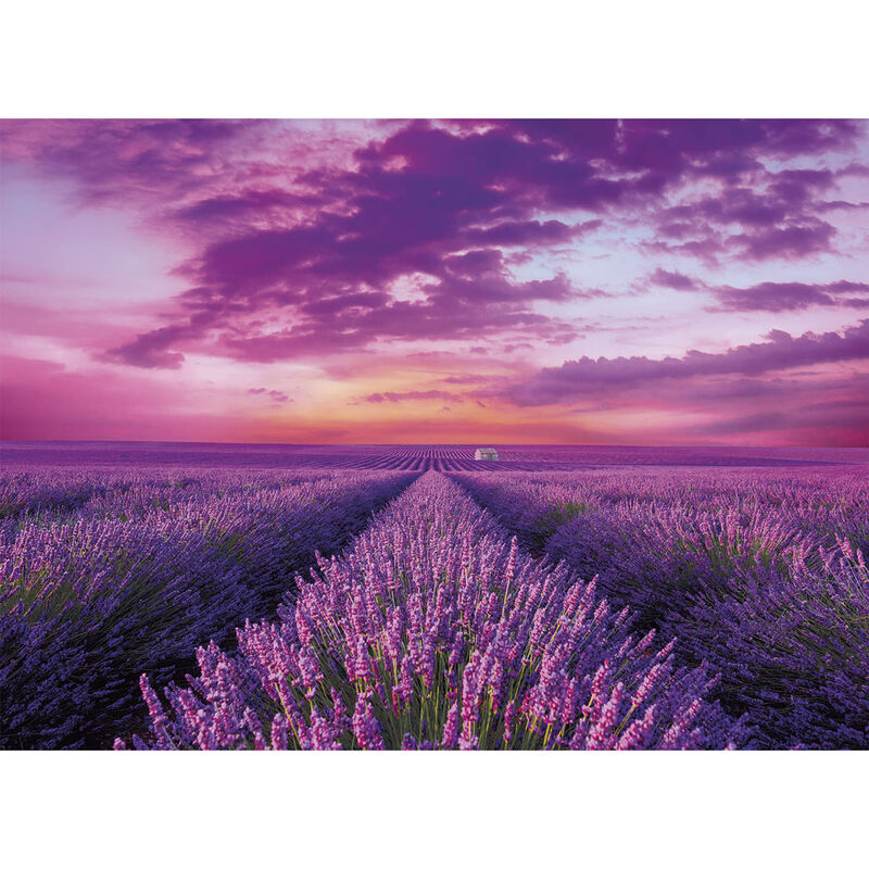 Puzzle Campos de Lavanda 1000pzs - Frikibase.com