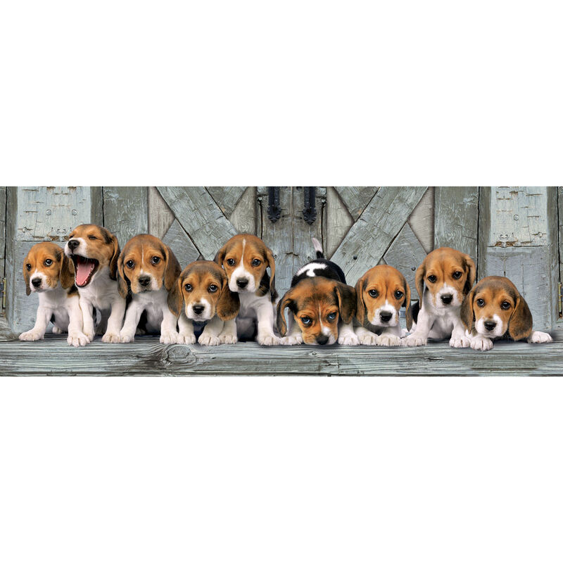 Puzzle Panorama Beagles 1000pzs - Frikibase.com