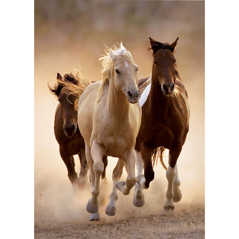 Puzzle Running Horses 1000pzs - Frikibase.com