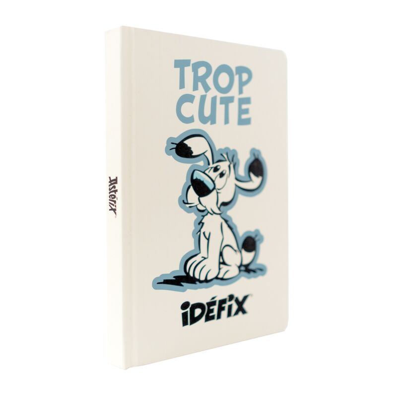 Cuaderno A5 premium Ideafix - Asterix y Obelix - Frikibase.com