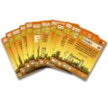 Le Havre – imagen 3