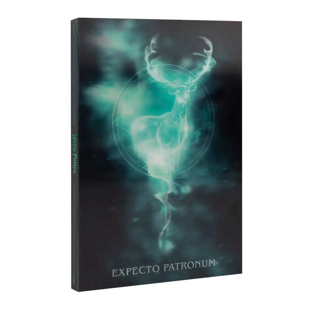 Cuaderno A5 Lenticular Harry Potter - Frikibase.com