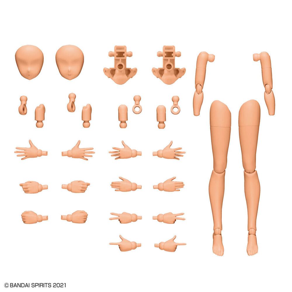 Set Partes Cuerpo Brazos y Piernas 30MS Color C