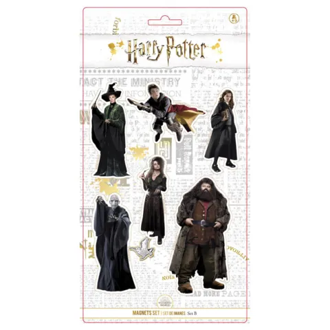 Blister 6 imanes Personajes Harry Potter - Frikibase.com