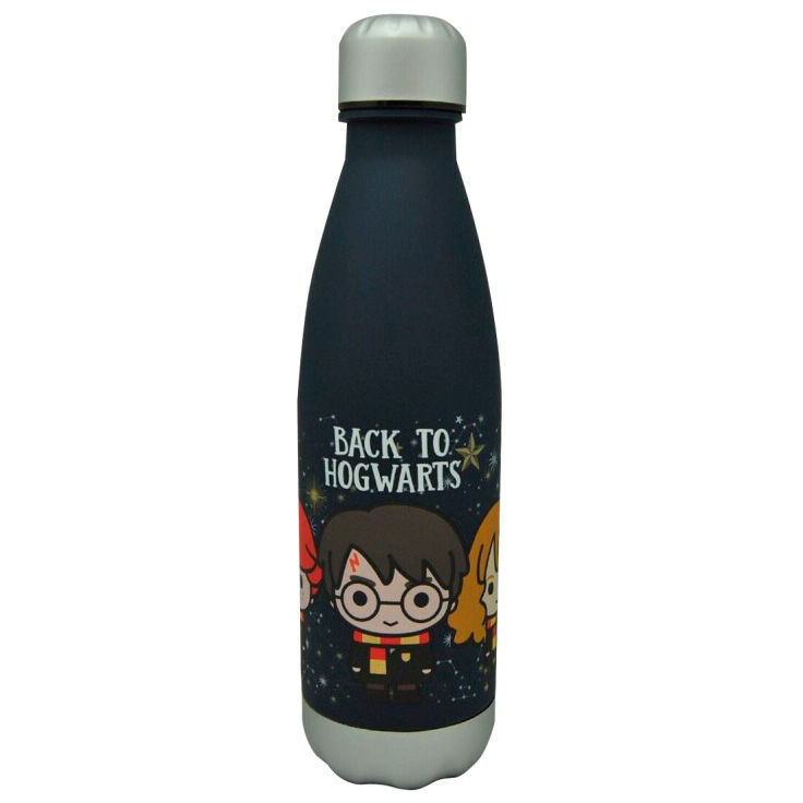 Botella Back to Hogwarts Harry Potter 650ml - Frikibase.com