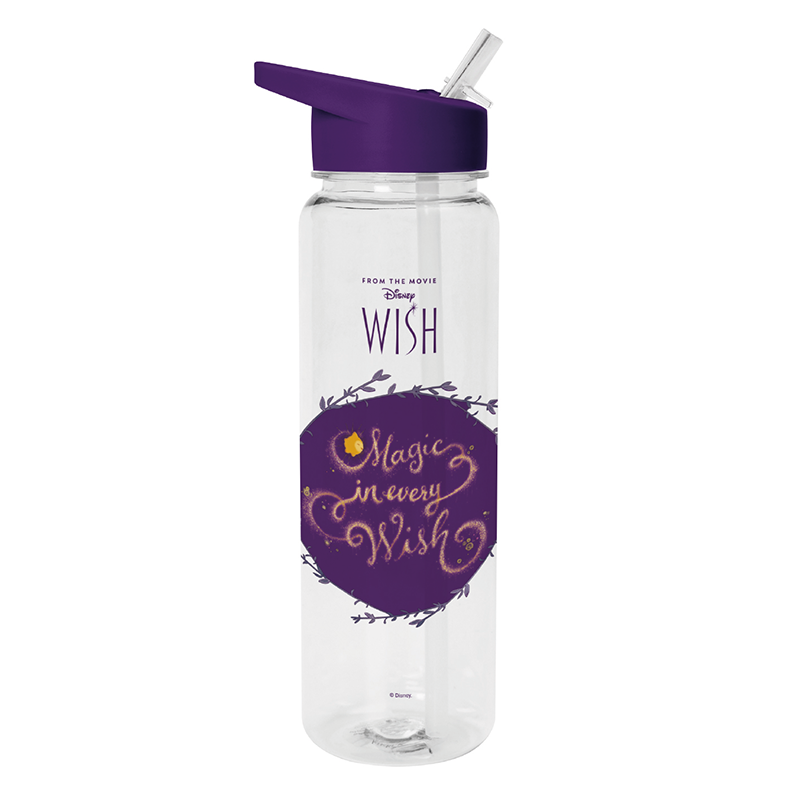 Cantimplora Wish Disney 700ml - Frikibase.com