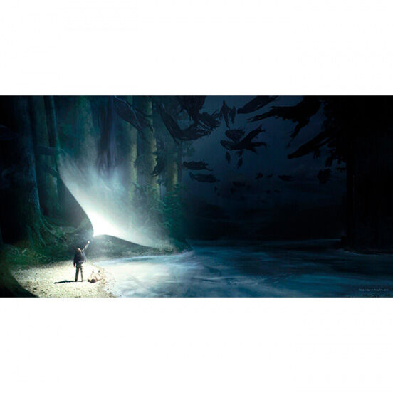 Poster cristal Expecto Patronum Harry Potter - Frikibase.com