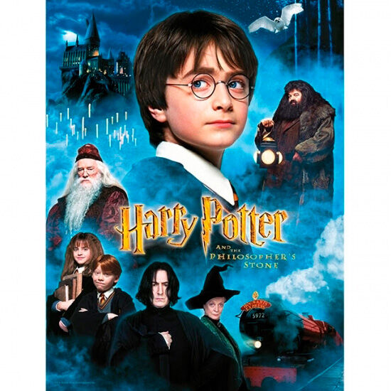 Poster cristal Harry Potter y la Piedra Filosofal Harry Potter - Frikibase.com