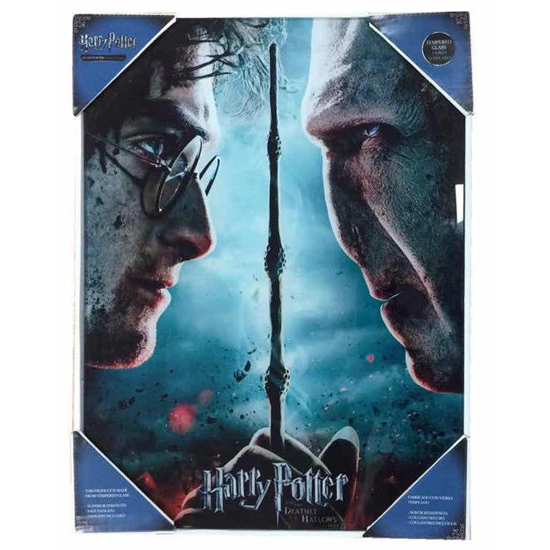 Poster cristal Voldemort vs Harry Potter - Frikibase.com