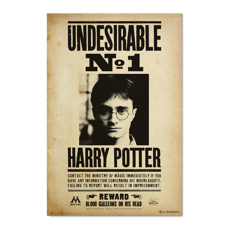 Poster Indeseable Numero 1 Harry Potter - Frikibase.com