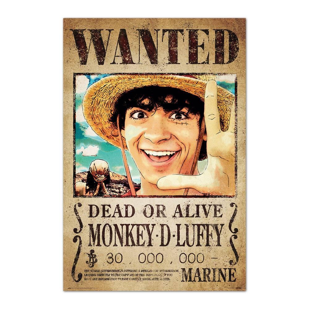 Poster Se Busca Monkey D. Luffy One Piece - Frikibase.com