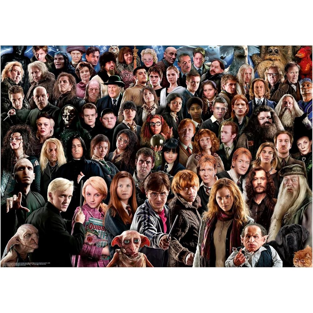Puzzle Harry Potter 1000pzs - Frikibase.com