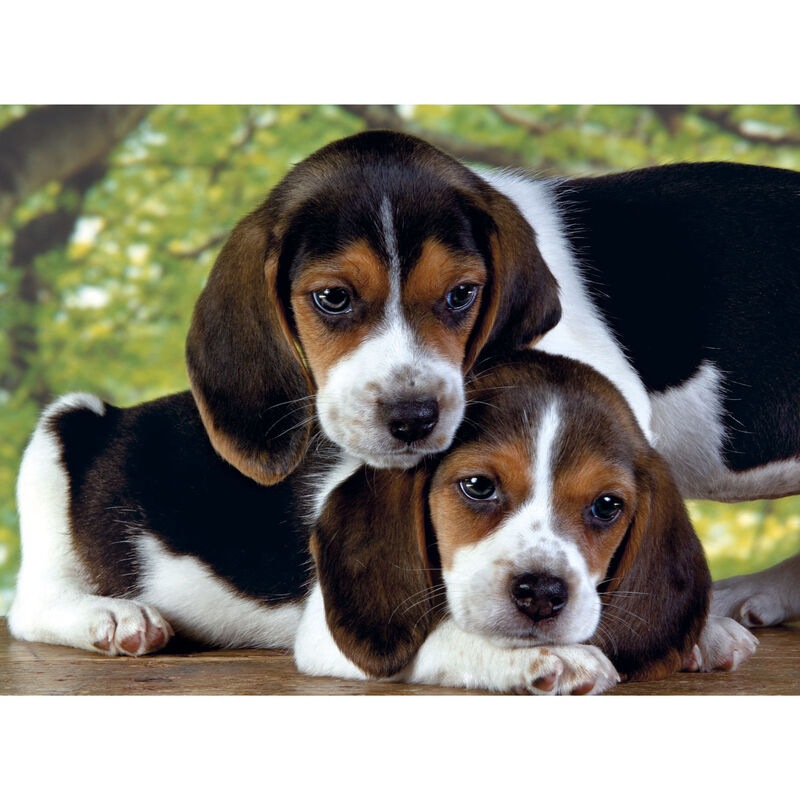 Puzzle Juntos 500pzs - Frikibase.com