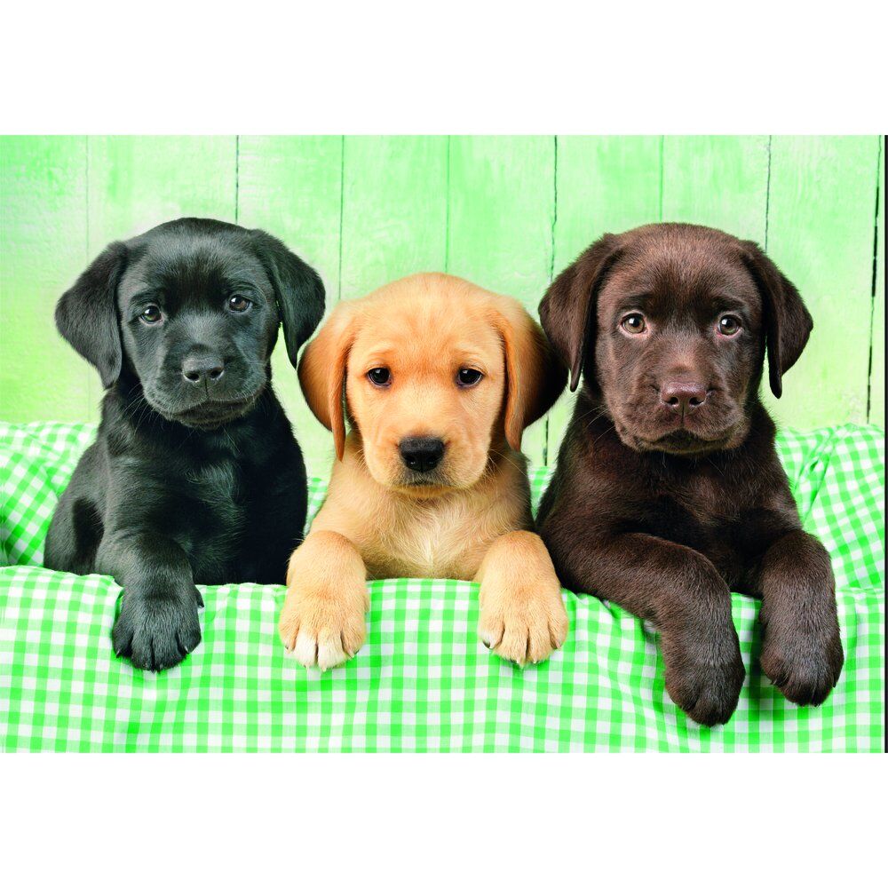 Puzzle Three Labs High Quality 1000pzs - Frikibase.com