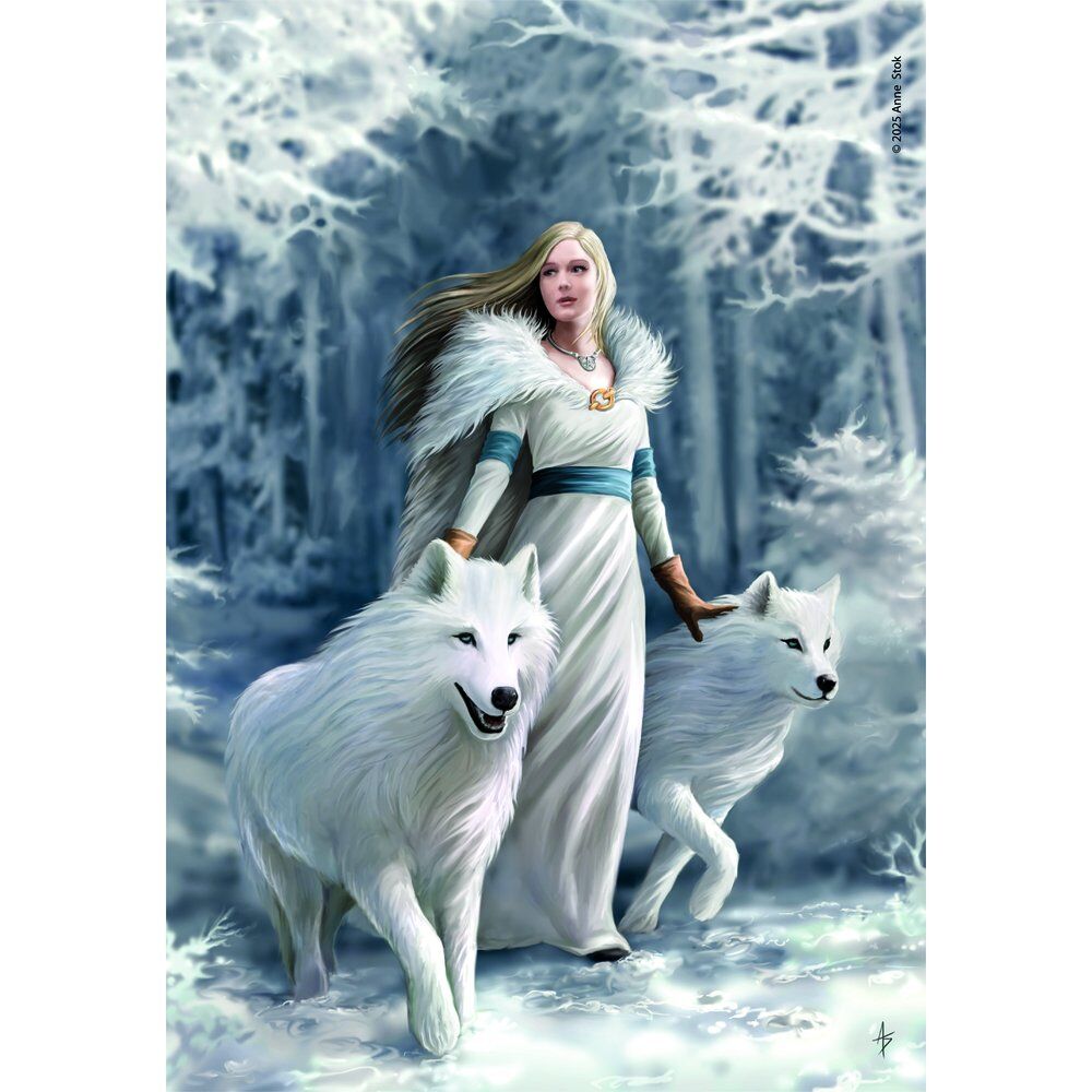 Puzzle Winter Guardians Anne Stokes 1000pzs - Frikibase.com