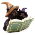 Figura Brujas Gato Negro surtido – imagen 2
