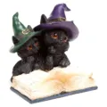 Figura Brujas Gato Negro surtido – imagen 3