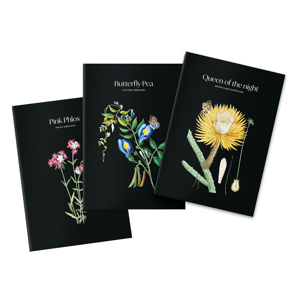 Set 3 cuadernos A5 Sleepless Garden - Frikibase.com