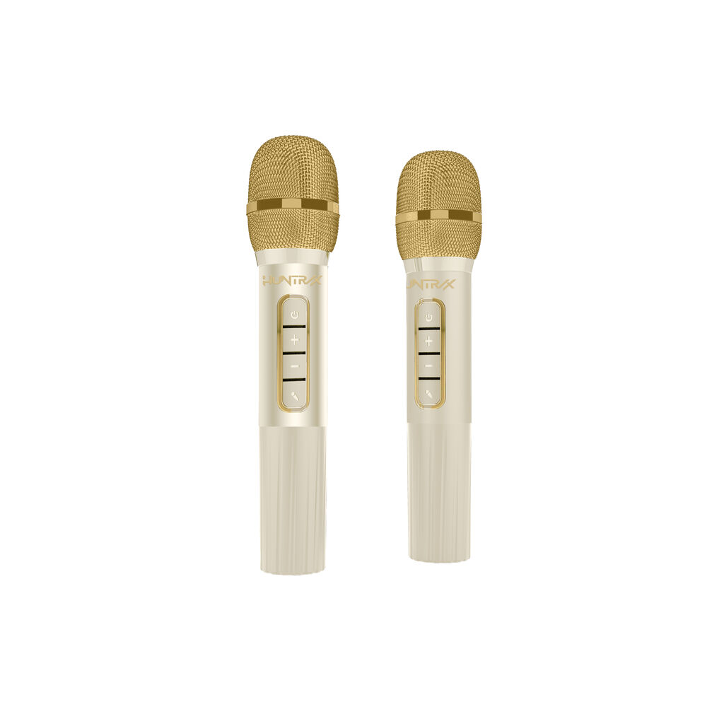 Set Altavoz y Micro Karaoke LED Golden Kpop Demon Hunter